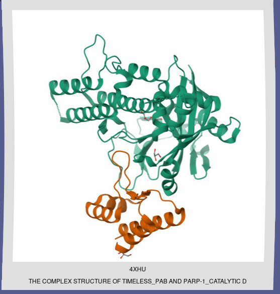 3D Protein Structure