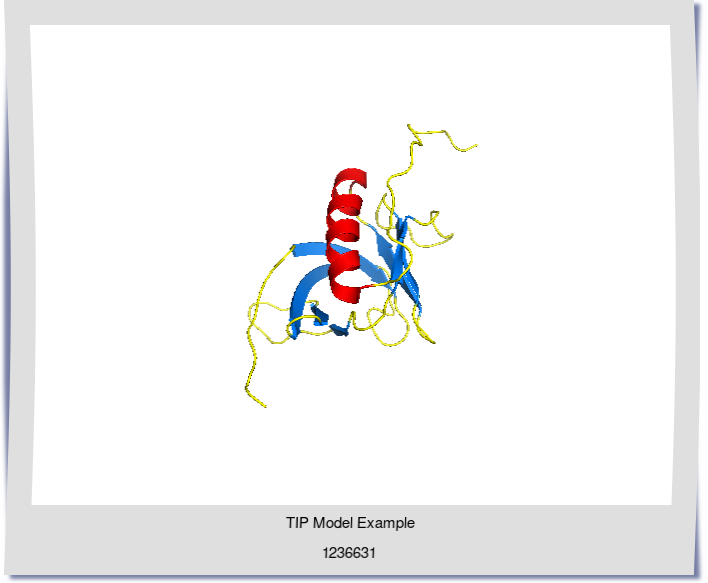 Protein Model