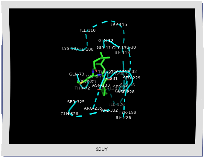 Protein-Ligand Binding